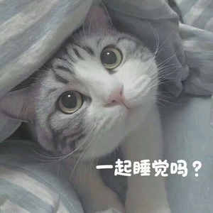 真崎航
